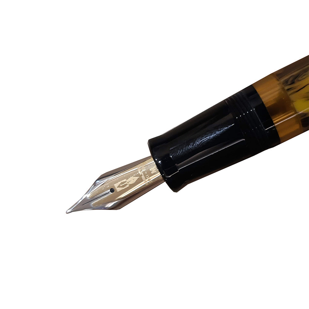 Delta Galleria Doue Multicolour Resin Black Cap Rhodium Trim Fountain Pen – 18Kt Gold Nib