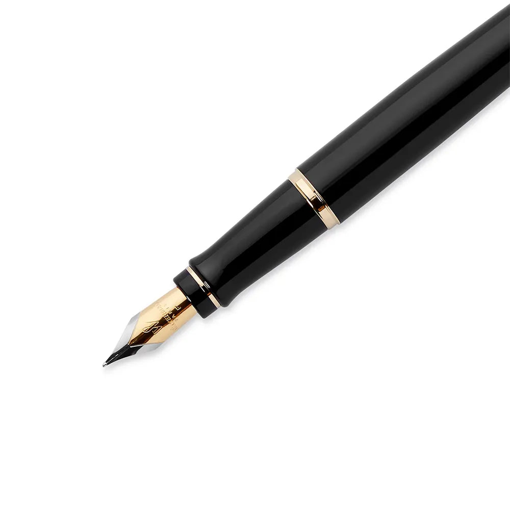 Waterman Expert Black Resin GT Fountain Pen – Stainless Steel Gold-Plated Nib