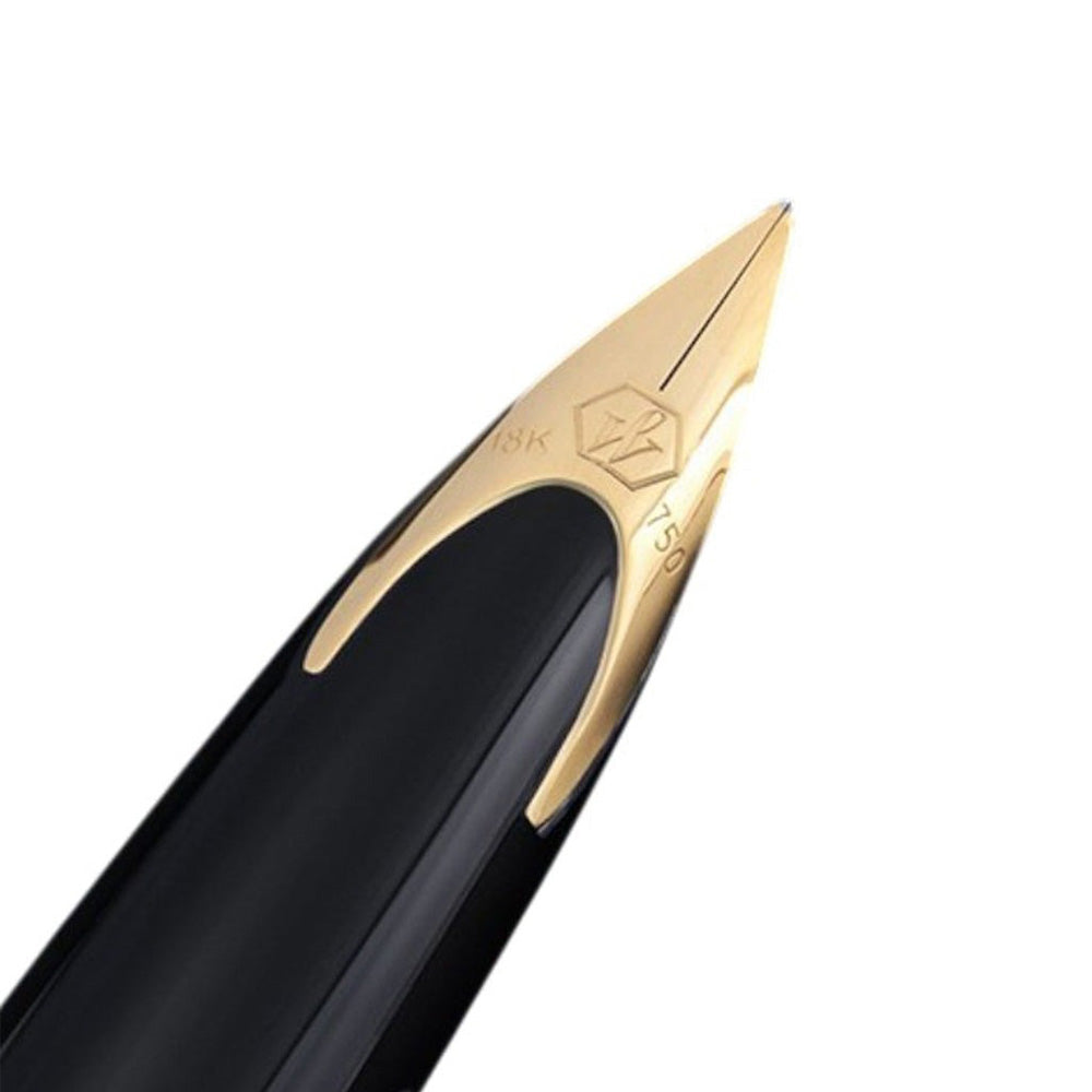 Waterman Carene Reflections Of Paris Special Edition Deluxe Black Gold Trim Fountain Pen Fine Nib