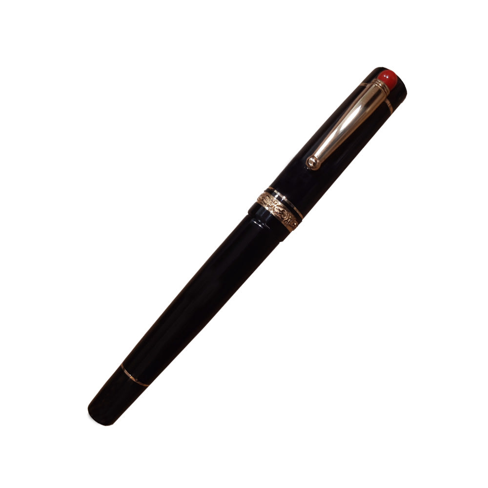 Delta We 17 Black Resin with Gold Plated Ring & Trim Fountain Pen – 14Kt Gold Medium Nib
