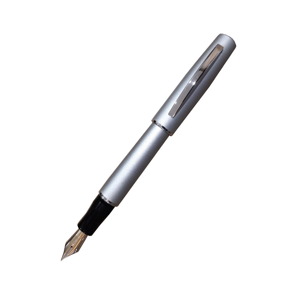 Delta Magnesium Matt Gray with Rhodium Trim Fountain Pen - 18Kt Gold Fusion Medium Nib