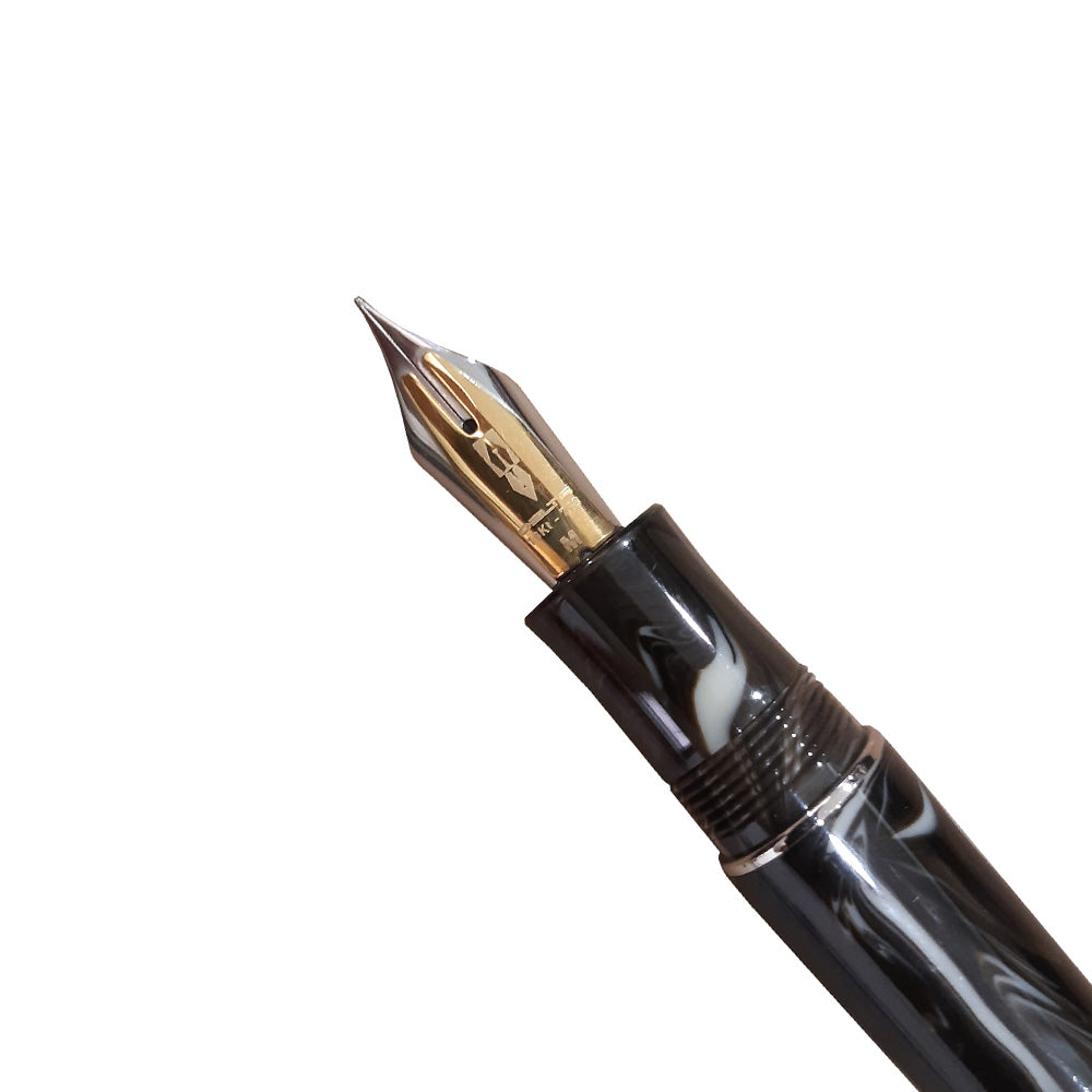 Delta The Journal Marbled Horn (Ivory) Resin with Rhodium Trim Fountain Pen – 18Kt Gold Fusion Medium Nib
