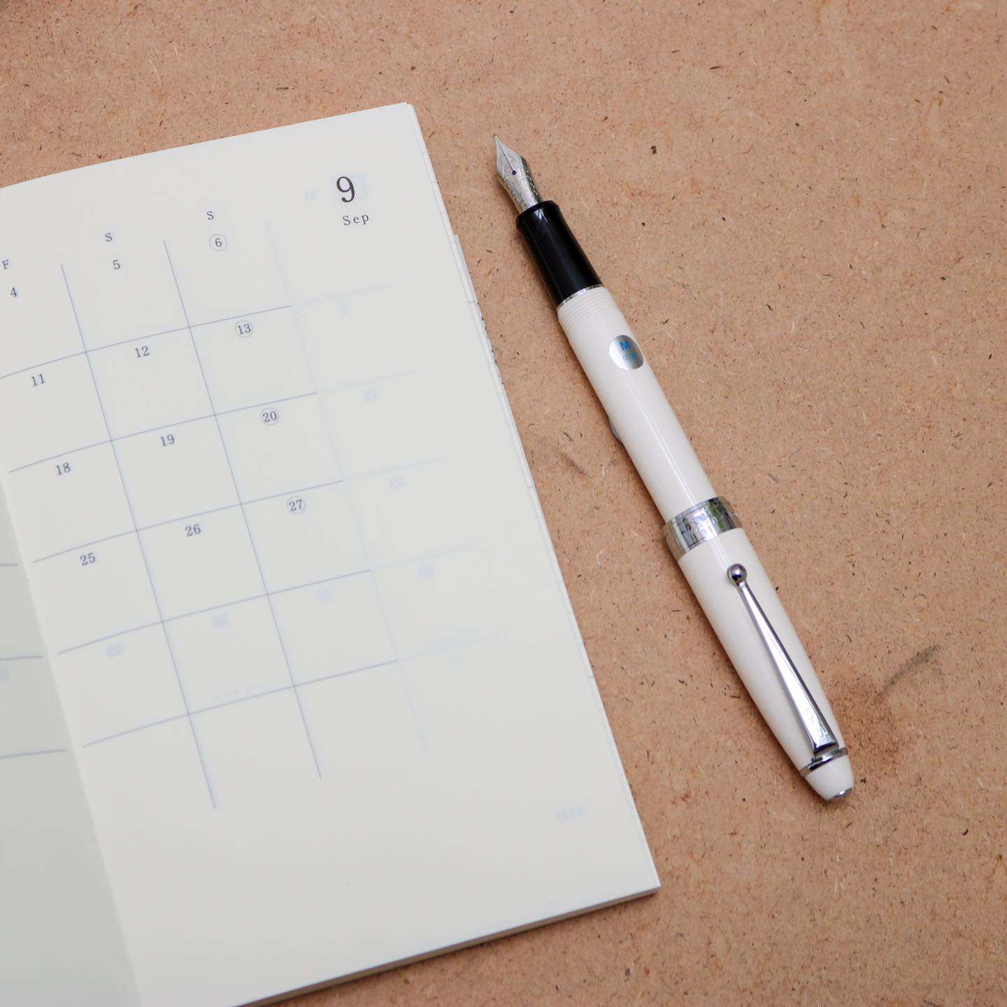 Pilot Custom NS Ivory (White) Resin with Chrome Trim Fountain Pen – Fine Nib