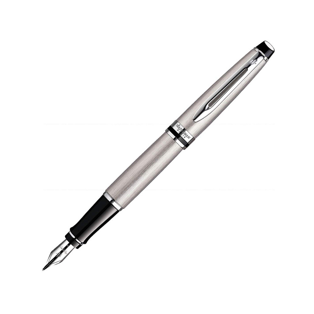 Waterman Expert Stainless Steel CT Fountain Pen – Fine Nib