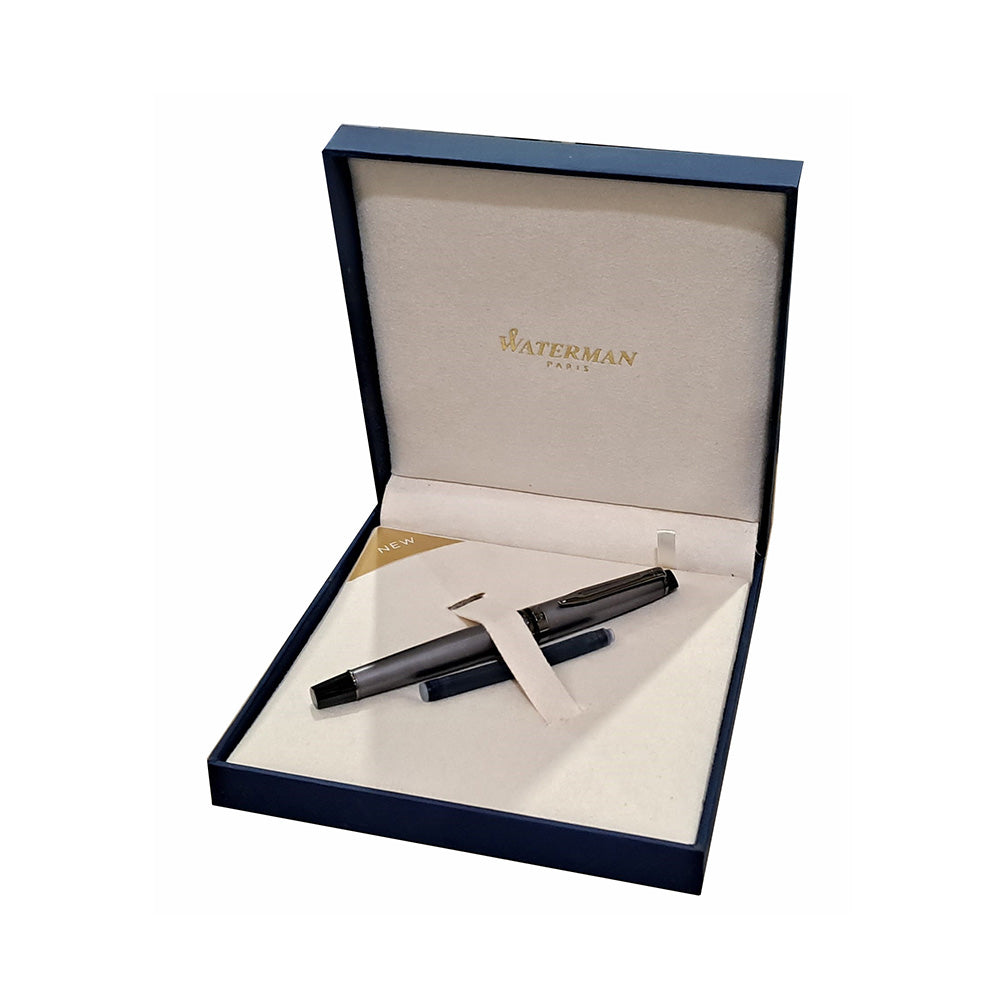 Waterman Expert Metallic Silver with Ruthenium Trim Fountain Pen – Fine Nib