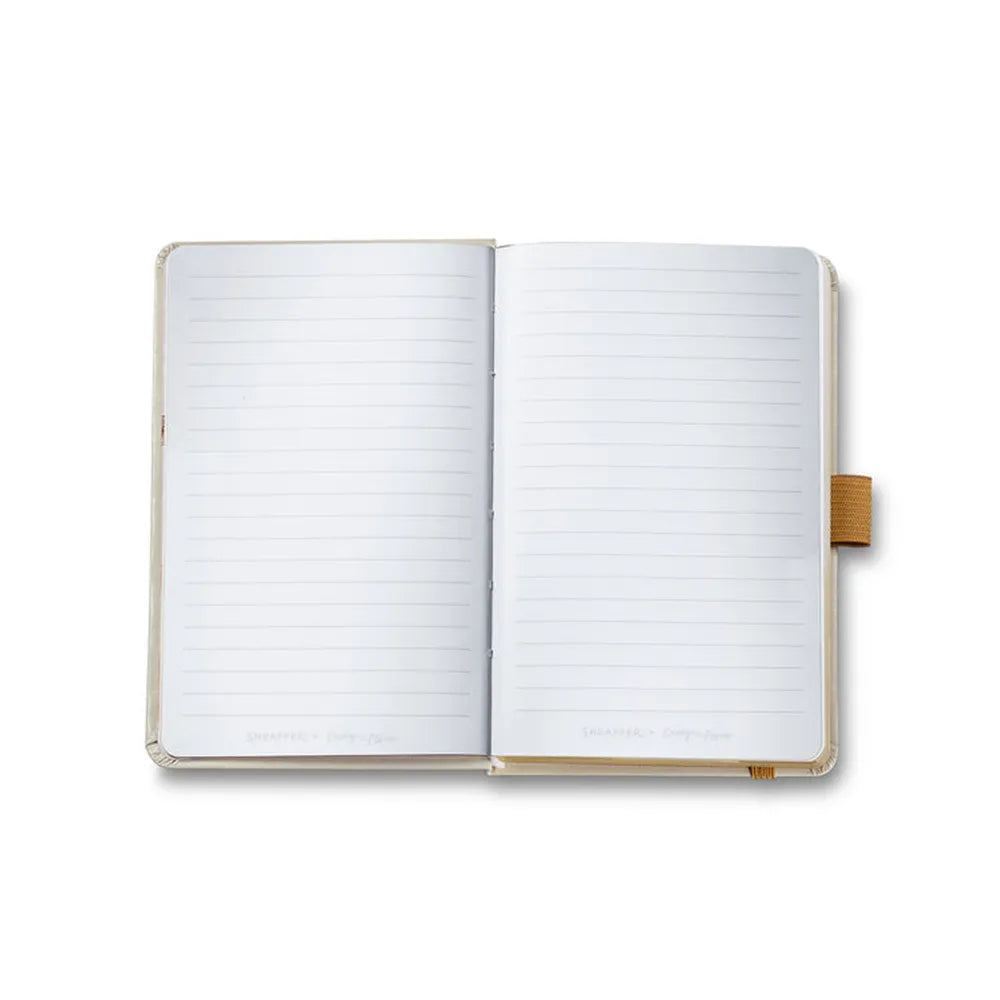 Sheaffer Giftset EIP 100 E9377 Champagne Gold with Champagne Gold Trims Ball Pen and Hardbound Small Notebook